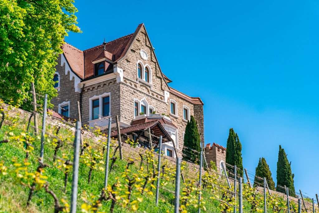 Historisches Schlosshotel mit rotem Ziegeldach oberhalb eines Weinbergs, eingerahmt von Zypressen und grünem Laub, unter strahlend blauem Himmel.
